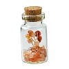 Transparent Glass Wishing Bottle Decoration AJEW-JD00011-05S-1