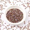 MIYUKI Half TILA Beads X-SEED-J020-HTL257-2