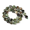 Natural Green Opal Beads Strands G-C116-A78-01-3