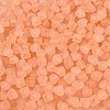FGB Frosted Transparent Glass Seed Beads SEED-N013-03A-04-3