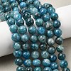Natural Apatite Beads Strands G-F674-04-8mm-1