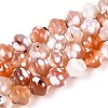 Dyed Natural Agate Beads Strands G-T144-27D-4