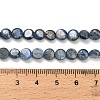 Natural Kyanite Beads Strands G-H335-K01-6mm-5