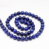 Natural Lapis Lazuli Round Beads Strands G-I181-10-12mm-2