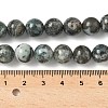 Natural Dioptase Beads Strands G-D302-02-10mm-5
