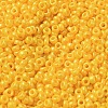 Baking Paint Glass Seed Beads SEED-P006-03A-04-3