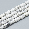 Natural Howlite Bead Strands G-T078-14-1