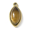 Natural Tiger Eye Pendants STAS-L277-09G-01-1