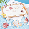 40Pcs Natural Scallop Shell Beads SSHEL-SP0001-02-6