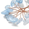 Natural Jade DJEW-Z007-02N-4
