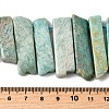 Natural Amazonite Beads Strands G-S386-D07-5