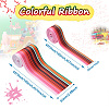 2Rolls 2 Styles Stripe Pattern Printed Polyester Grosgrain Ribbon OCOR-TA0001-37O-3