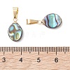 Abalone Shell/Paua Shell Pendants PALLOY-JF05265-4