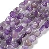 Natural Amethyst Beads Strands G-P497-01E-17-1