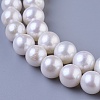 Natural Cultured Freshwater PearlBeads Strands PEAR-E009-10-11mm-3