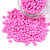 Baking Paint Glass Seed Beads SEED-S002-K2-1