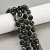 Natural Moss Agate Beads Strands G-N342-149I-26-1