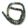 Natural Moss Agate Round Beads Strands G-S151-6mm-5