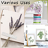 DIY Scrapbook Decorative Laser Paper Tapes DIY-WH20001-98G-4