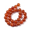 Natural Multi-Color Agate Beads Strands G-A261-B07-14mm-3