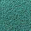 MIYUKI Round Rocailles Beads SEED-X0055-RR0435-3