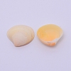 Natural Conch Shell Beads SSHEL-WH0003-01-3