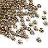 Transparent Stripe Glass Seed Beads GLAA-NH0001-06E-1