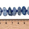 Natural Kyanite Beads Strands G-L649-A01-01-5