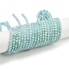 Natural Amazonite Beads Strands G-F461-12-4mm-01-6