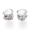 Alloy Glass European Beads FIND-N009-13P-2