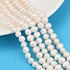 Natural Cultured Freshwater Pearl Beads Strands PEAR-I007-07Y-05A-1