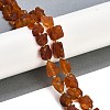 Raw Rough Natural Amber Beads Strands G-B125-C01-01-2