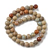 Natural Aqua Terra Jasper Beads Strands G-E444-14B-12mm-2