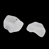 Frosted Acrylic Pendants SACR-F016-02C-2