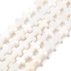 Natural Freshwater Shell Beads Strands SSHEL-B002-11-1