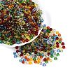FGB Transparent Glass Seed Beads SEED-N013-01A-01-1