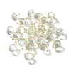 Transparent Glass Charms GLAA-P070-A07-2