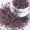 Glass Seed Beads SEED-US0003-3mm-116-1