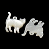 Natural White Shell Pendants SSHEL-N038-05A-01-2