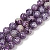 Natural Lepidolite Beads Strands G-U026-A06-10mm-2