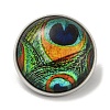 Round Glass Brooches FIND-Q096-01D-1