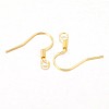 Iron Earring Hooks E133-G-1