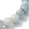 Natural Larimar Round Beads Stretch Bracelets for Women Men BJEW-JB13382-02-4