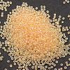 8/0 Glass Seed Beads SEED-J012-F8-102-2