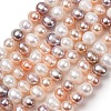 Natural Cultured Freshwater Pearl Beads Strands PA-CBABE82-14-2