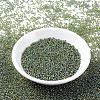 MIYUKI Round Rocailles Beads SEED-G007-RR0361-2
