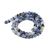 Natural Blue Spot Jasper Beads Strands G-M403-A21-02-3