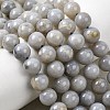 Natural Gemstone Beads Strands G-L641-A01-02-1