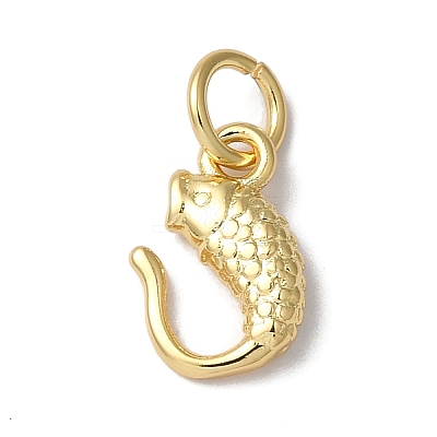 Rack Plating Brass Pendants KK-B092-06G-1