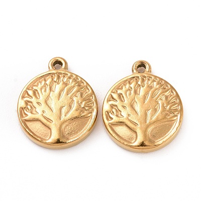 304 Stainless Steel Charms STAS-G071-15G-1
